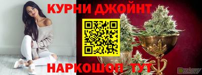 мяу мяу мука Ачхой-Мартан