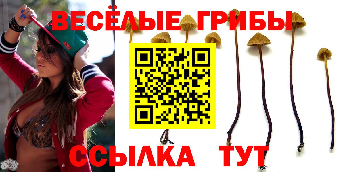 Галлюциногенные грибы мицелий Баксан