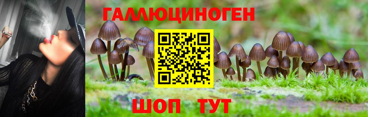Баксан  Галлюциногенные грибы прущие грибы  Вход с VPN 